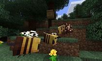 how to get honey from a beehive in minecraft